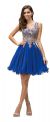 Sleeveless Embroidered Bodice Short Homecoming Party Dress in Royal Blue